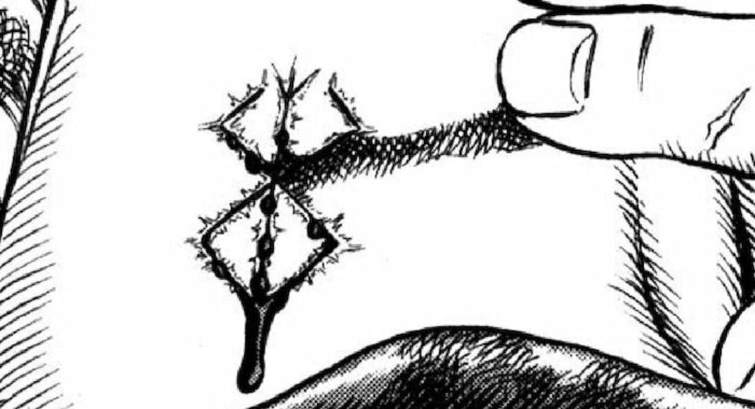 Qué significa la marca del sacrificio de Berserk