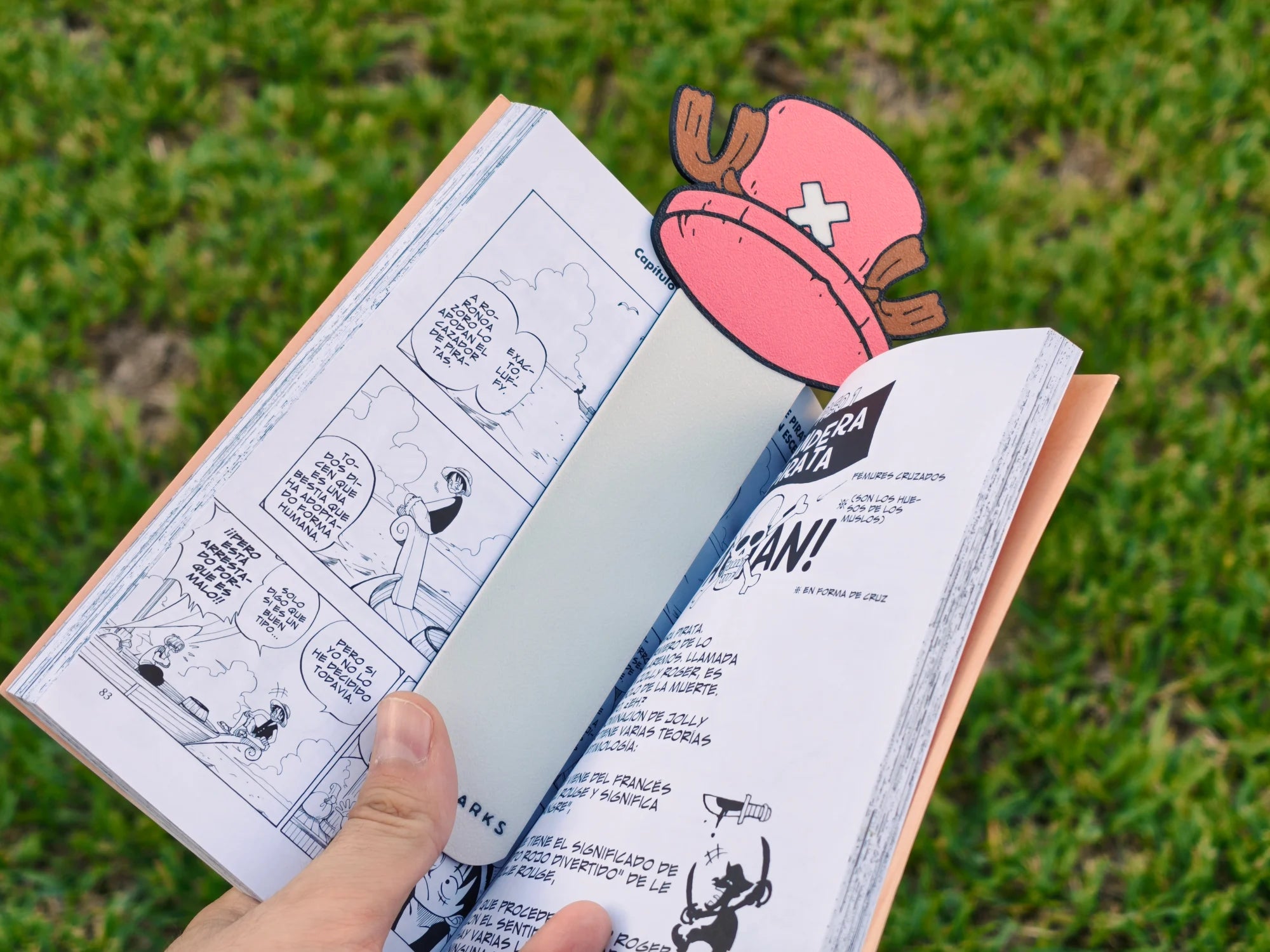 Marcapáginas del sombrero de Chopper